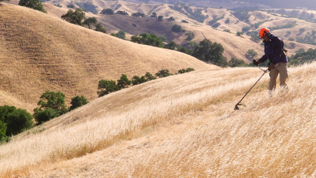BGG mowing on Coyote Ridge Creekside