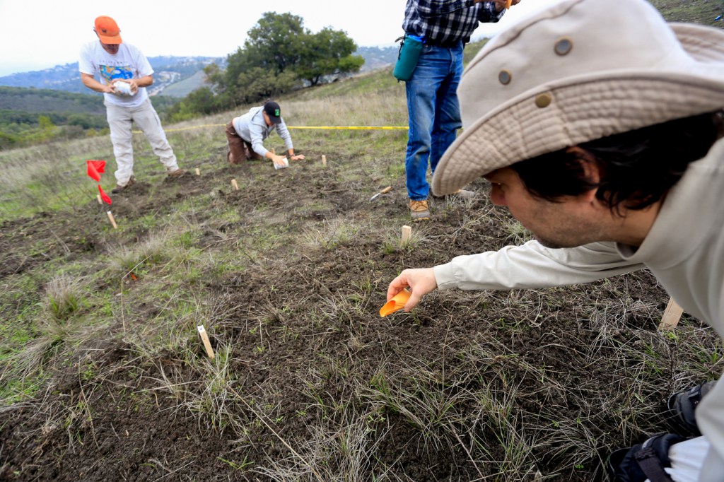 SMT Dec14 seeding pics-15