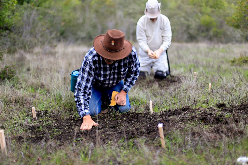 SMT Dec14 seeding pics-18