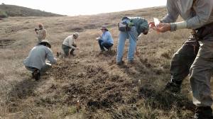 12346565_10207239212795270_7482680333763890458_n