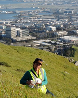 Kirra_SBM_SFO_larva 3-2-2017 4-46-55 PM